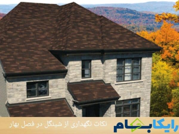 نکات نگهداری از شینگل در فصل بهار