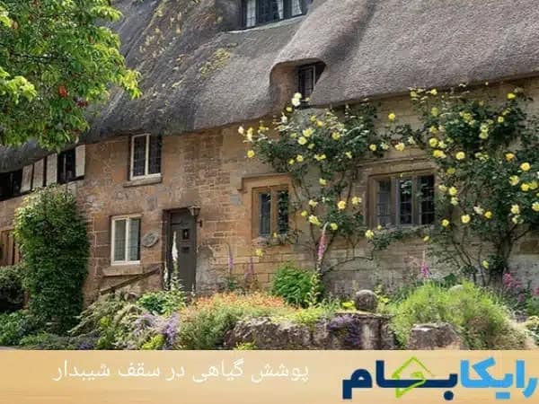 پوشش گیاهی در سقف شیبدار