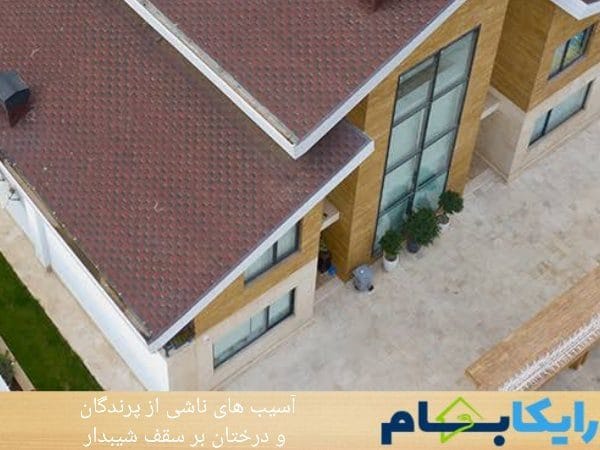 تاثیر درختان اطراف منزل بر سقف شیبدار